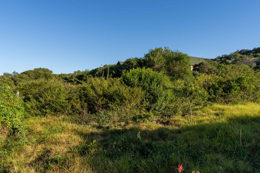 0 Bedroom Property for Sale in Outeniqua Strand Western Cape